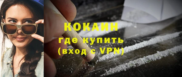 винт Абаза