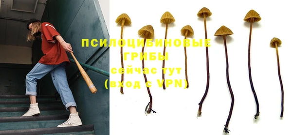 apvp Абинск