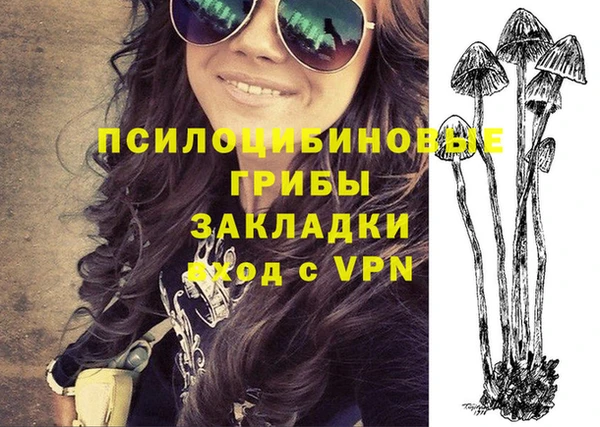 винт Абаза