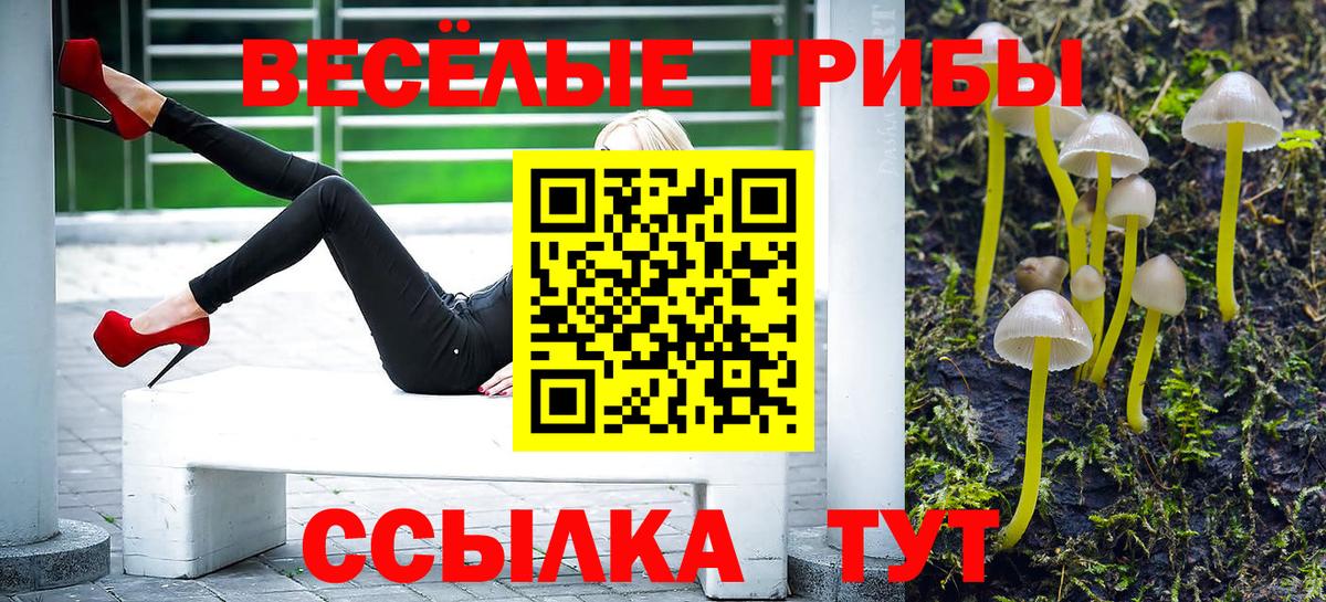 Галлюциногенные грибы мицелий Электросталь