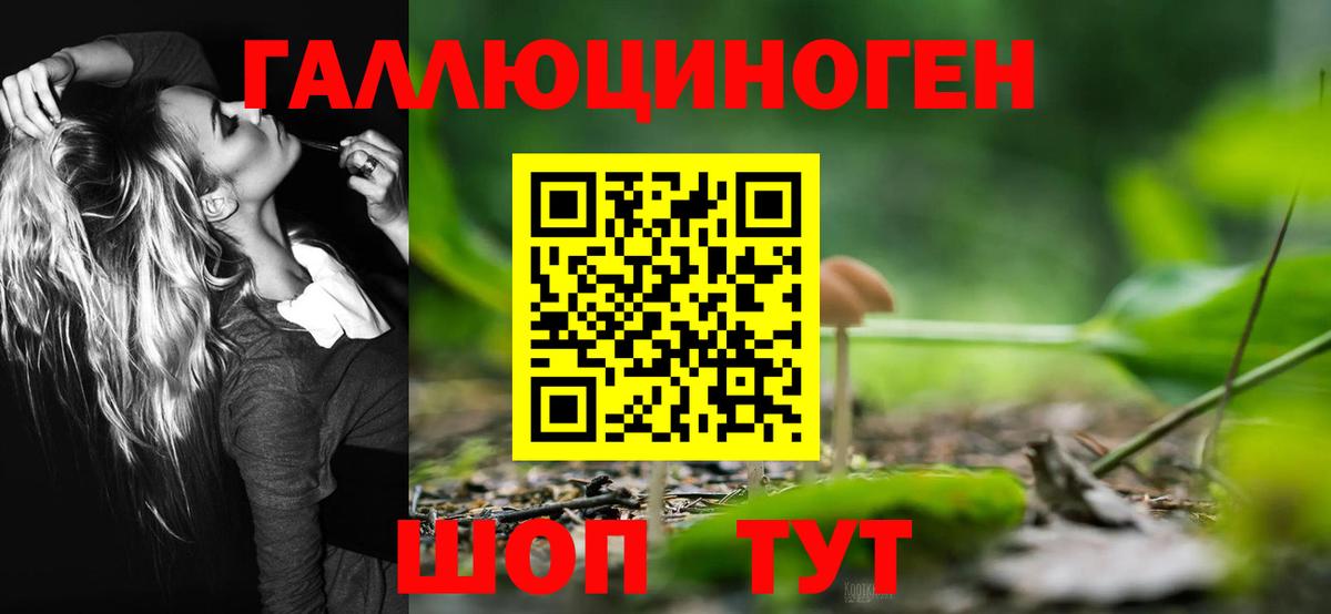 Галлюциногенные грибы MAGIC MUSHROOMS  Вход с VPN  Электросталь 